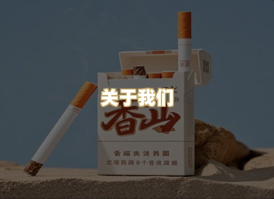 关于我们